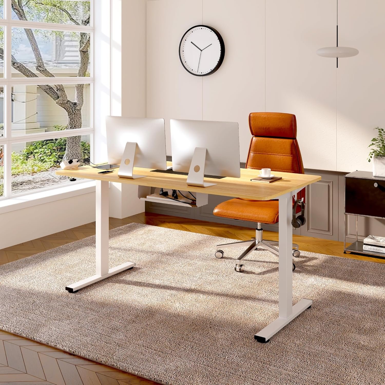 FLEXISPOT EN2 Electric Standing Desk